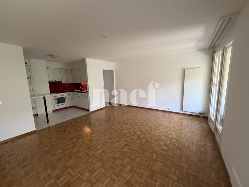 2.5-room apartment on the first floor with terrace and garden (4)