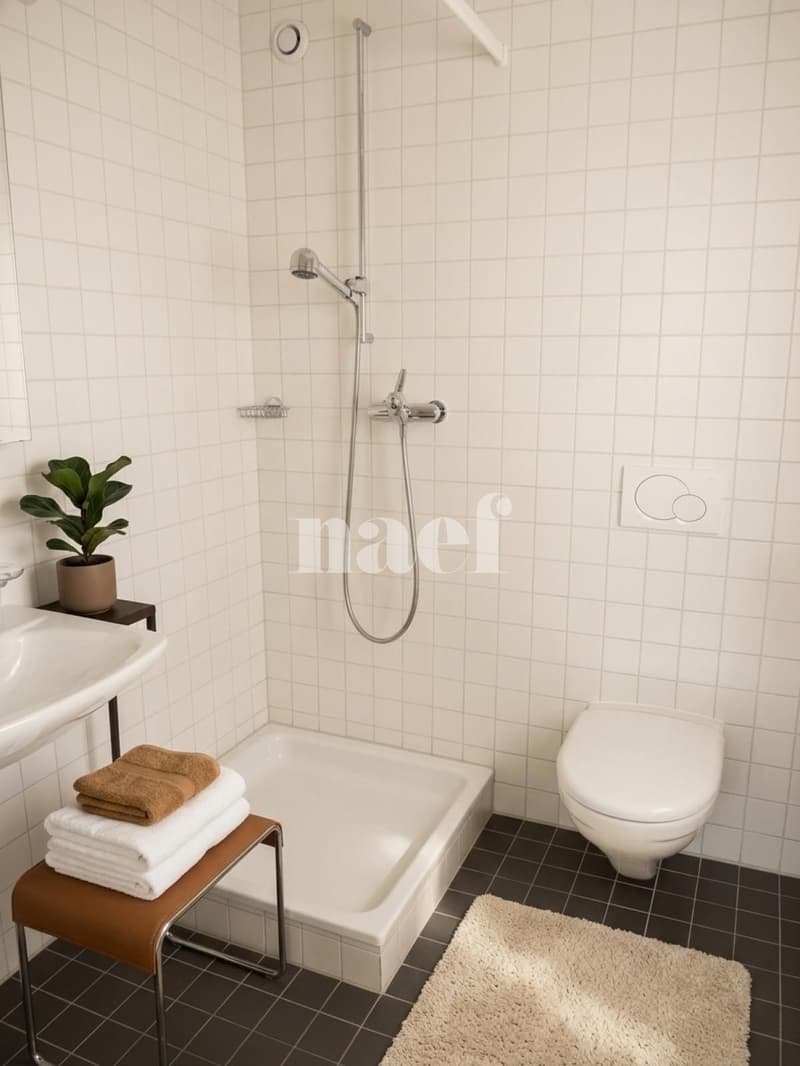 Schönes helles 4.5-Zimmer-Apartment im 3. Stock mit Balkonen (7)