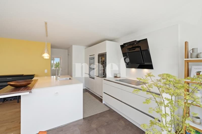 Lumineux et moderne appartement de 3.5 pièces au rez avec grande terrasse (4)