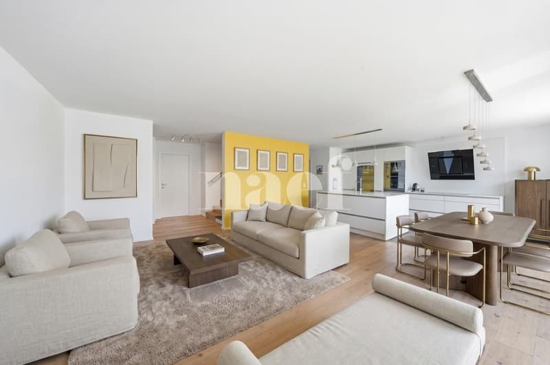 Lumineux et moderne appartement de 3.5 pièces au rez avec grande terrasse (2)