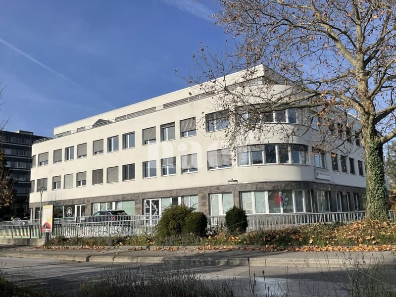 Centre Les Tuillières - Lumineuse surface d'env. 158m2 modulables au 2ème étage d'un immeuble commercial (6)