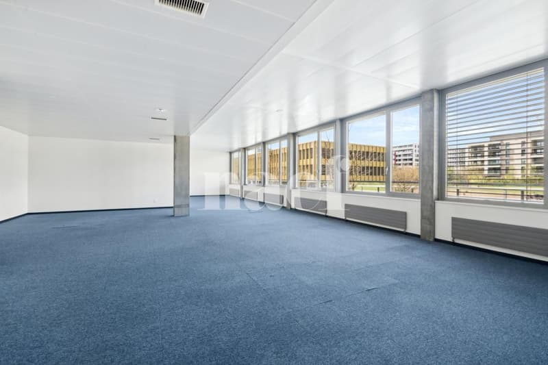 Surface d'env. 196m2 modulables au 1er étage (2)