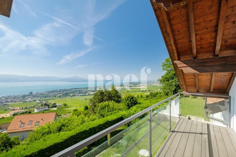 Propriété d'exception de 8 pièces avec vue panoramique sur le lac et piscine chauffée (7)