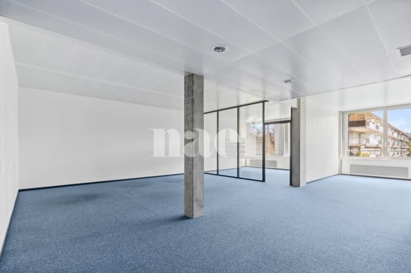 Surface d'env. 211m2 modulables au 1er étage (2)