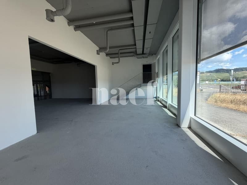 Eikenott - Lumineuse arcade d'env. 240 m2 au rez-de-chaussée (4)