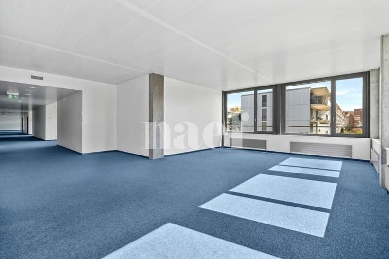 Surface d'env. 251m2 modulables au 1er étage (2)