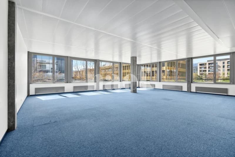 Surface d'env. 251m2 modulables au 1er étage (1)