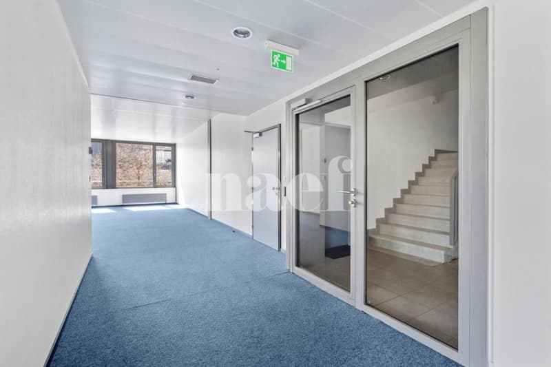 Surface d'env. 251m2 modulables au 1er étage (3)