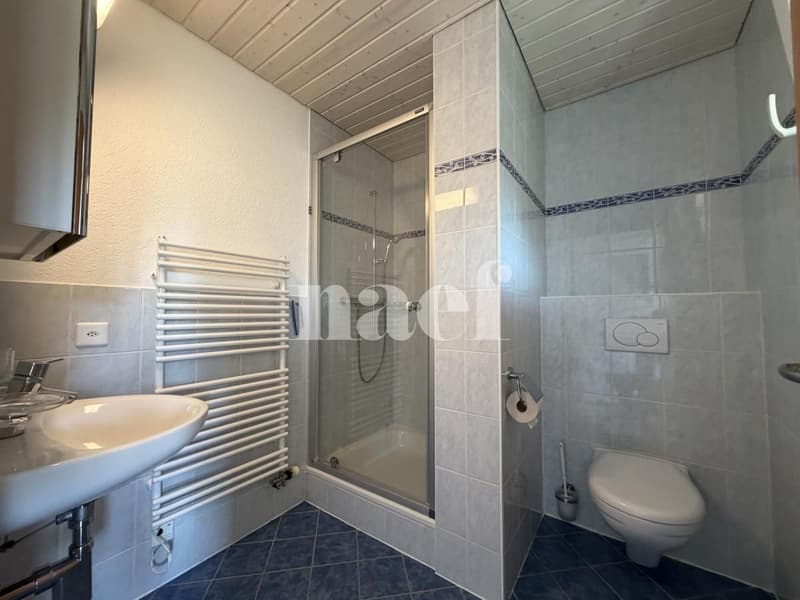 Duplex de 4.5 pièces Cadre paisible à deux pas du lac Bail à durée déterminée (1 an) (10)