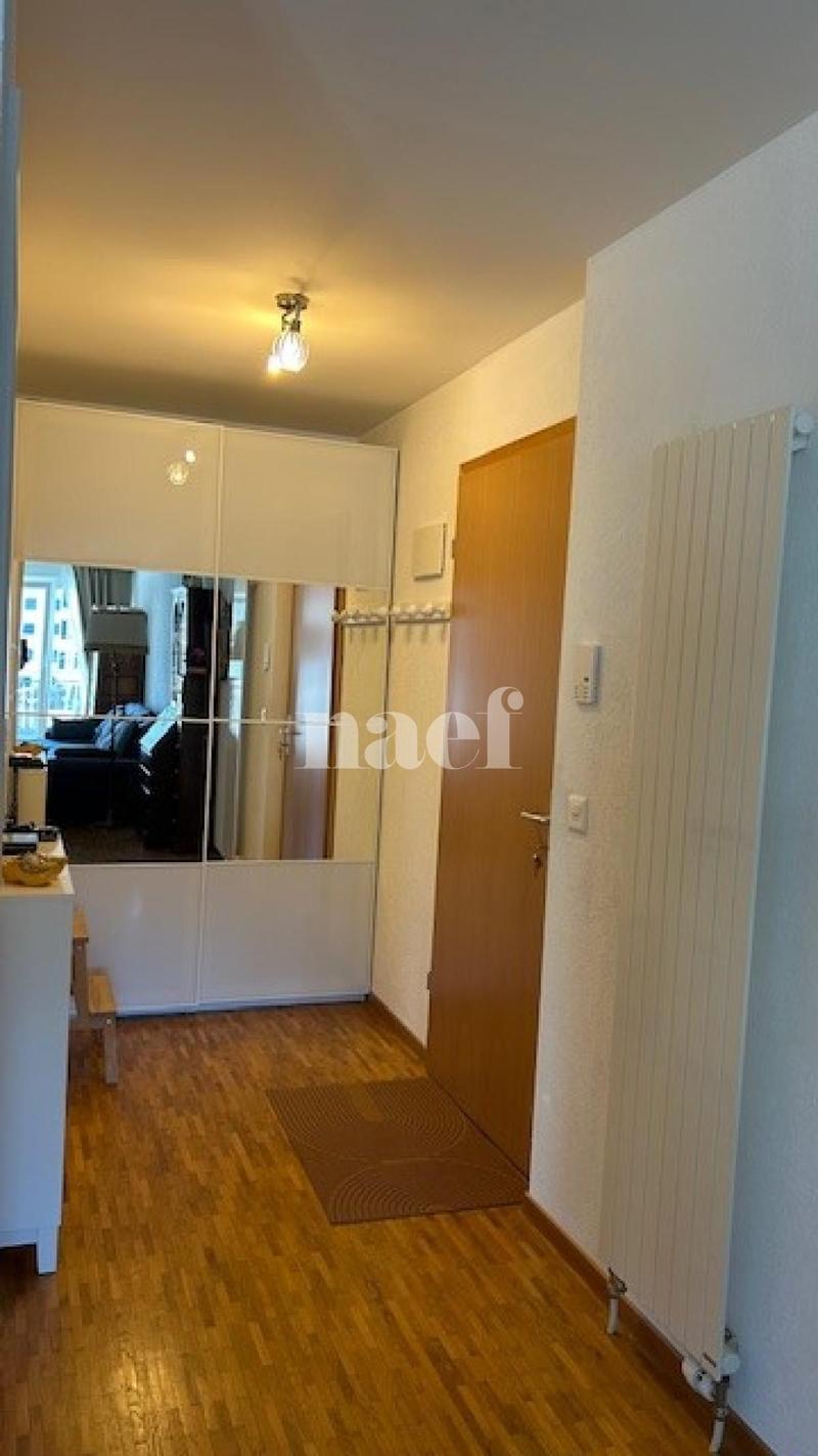 Bel appartement de 3 pièces au 2ème étage avec grand balcon (3)
