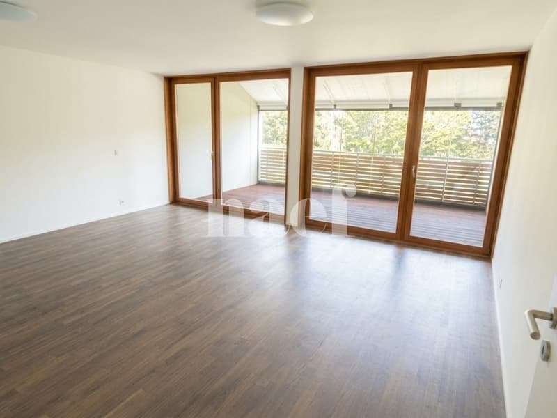Bel appartement en triplex de 6.5 pièces avec terrasse et jardin (4)