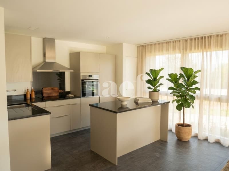 Bel appartement de 3.5 pièces au 1er étage avec terrasse (3)