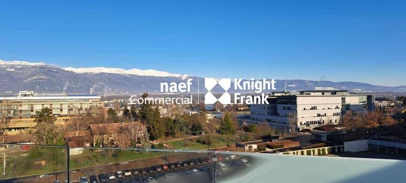 Meyrin ZIMEYSA - Commercial area of 491 m² (6)