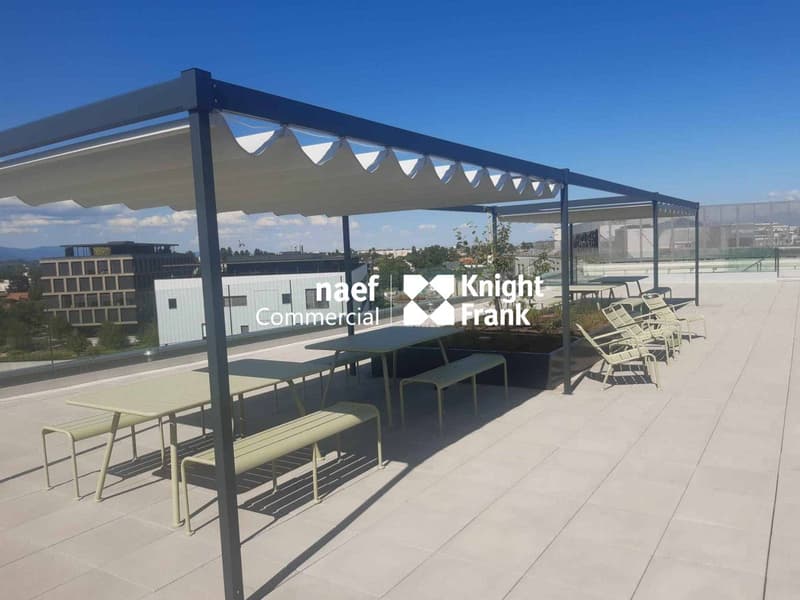 Meyrin ZIMEYSA - Commercial area of 491 m² (5)