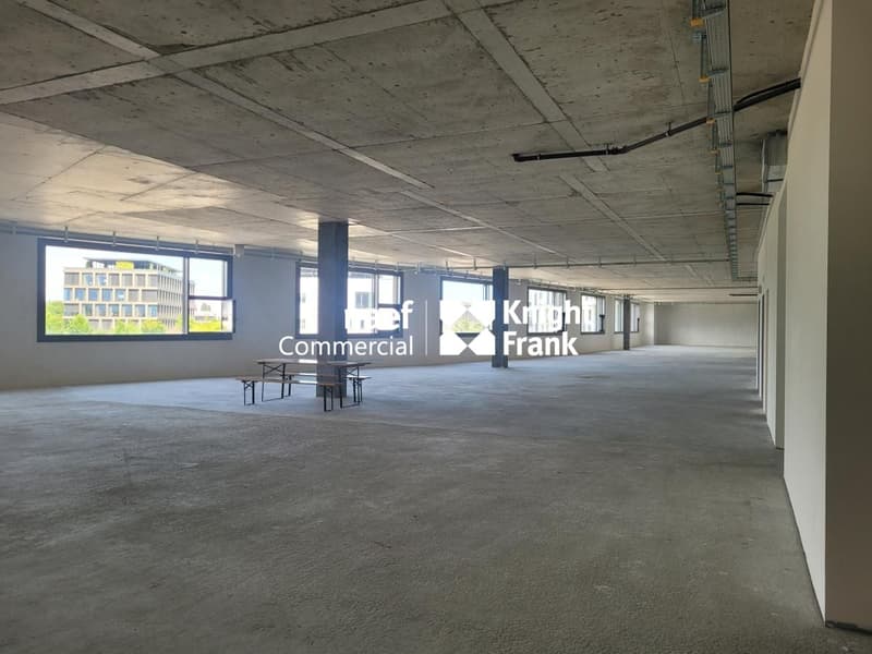 Meyrin ZIMEYSA - Administrative and artisanal area of 985m2, divisible (3)