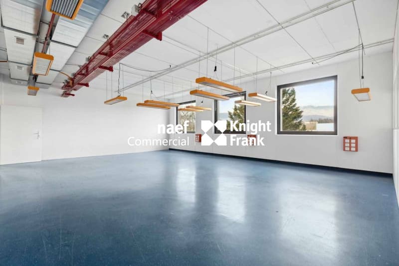 Superficie di 430 m² nella zona industriale ZIMEYSA di Meyrin (7)