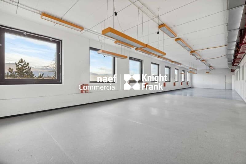 Superficie di 430 m² nella zona industriale ZIMEYSA di Meyrin (5)