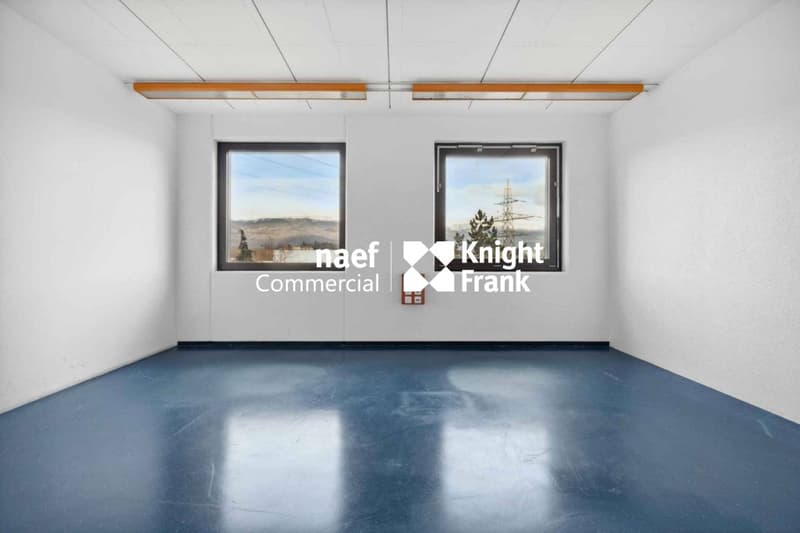 Superficie di 430 m² nella zona industriale ZIMEYSA di Meyrin (11)