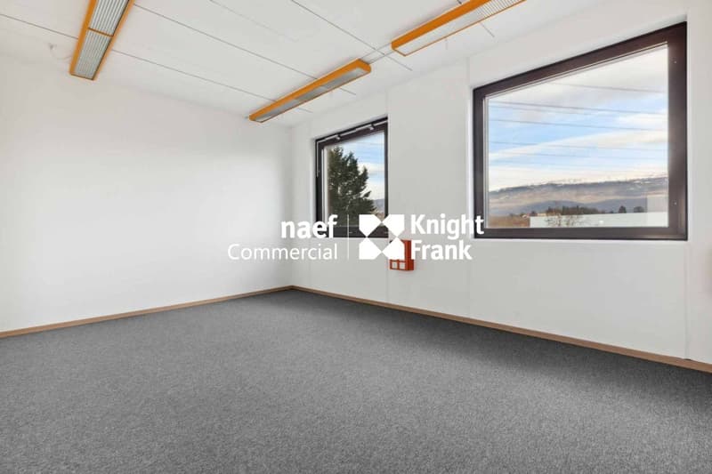 Superficie di 430 m² nella zona industriale ZIMEYSA di Meyrin (12)