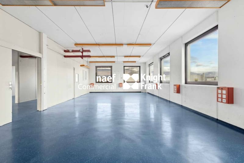 Superficie di 430 m² nella zona industriale ZIMEYSA di Meyrin (4)