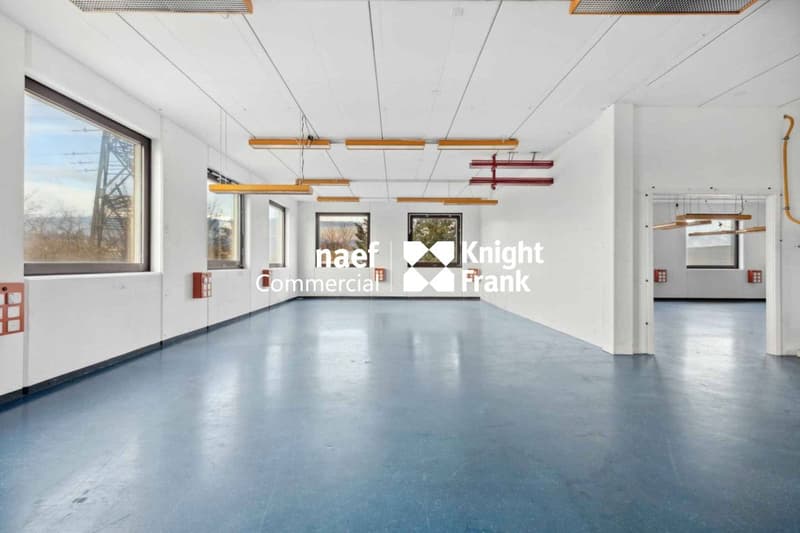 Superficie di 430 m² nella zona industriale ZIMEYSA di Meyrin (8)
