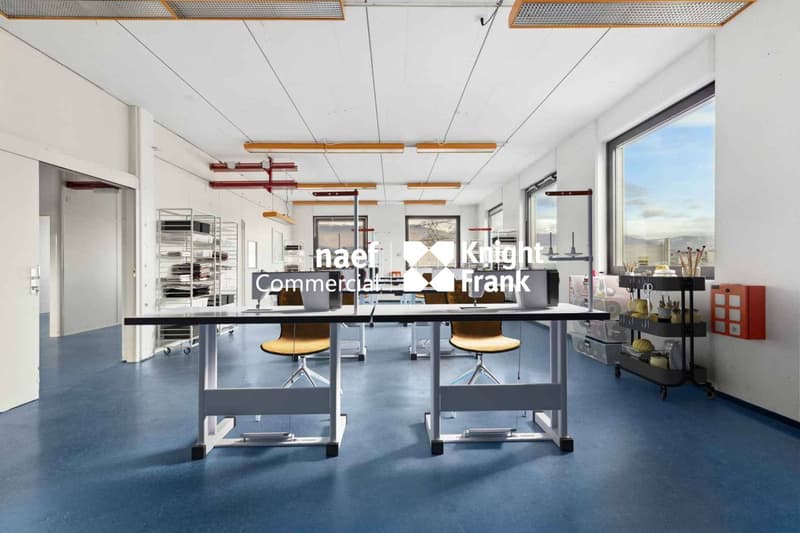 Superficie di 430 m² nella zona industriale ZIMEYSA di Meyrin (3)