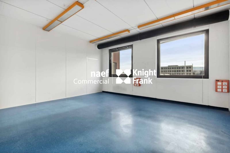 Superficie di 430 m² nella zona industriale ZIMEYSA di Meyrin (10)