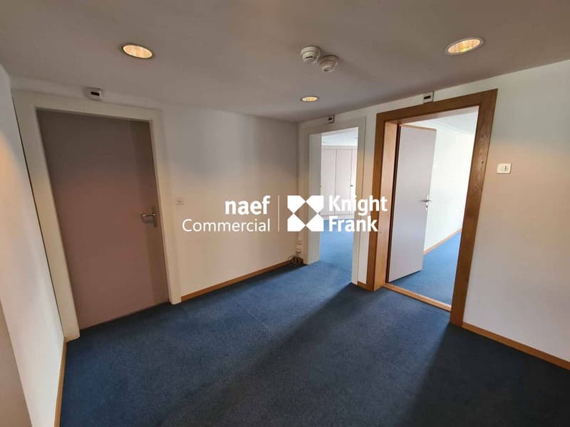Chantepoulet - Ufficio di 266m² agli ultimi piani (5)