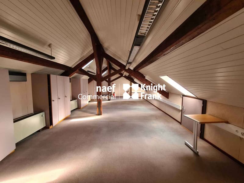 Chantepoulet - Ufficio di 266m² agli ultimi piani (8)