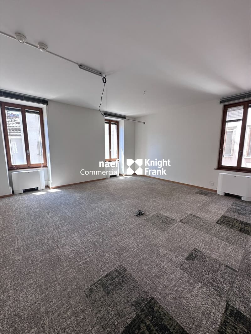 Chantepoulet - Uffici di 316 m² al 3° piano (5)