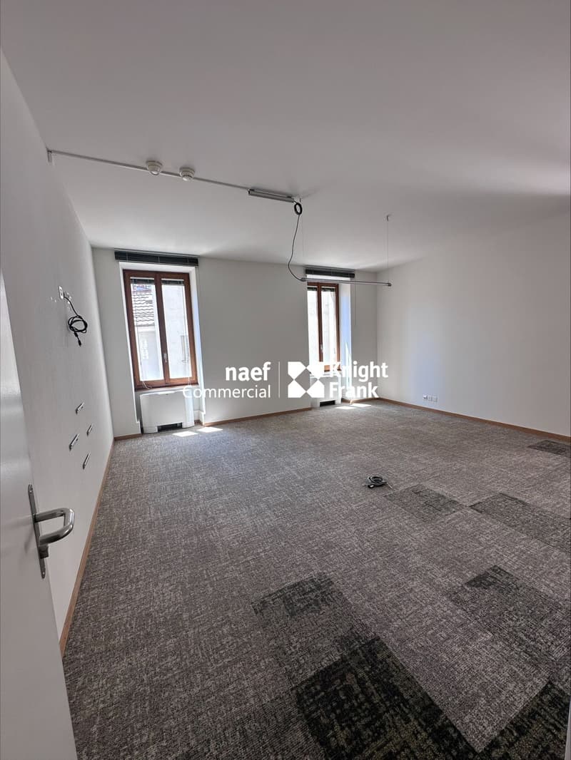 Chantepoulet - Uffici di 316 m² al 3° piano (6)