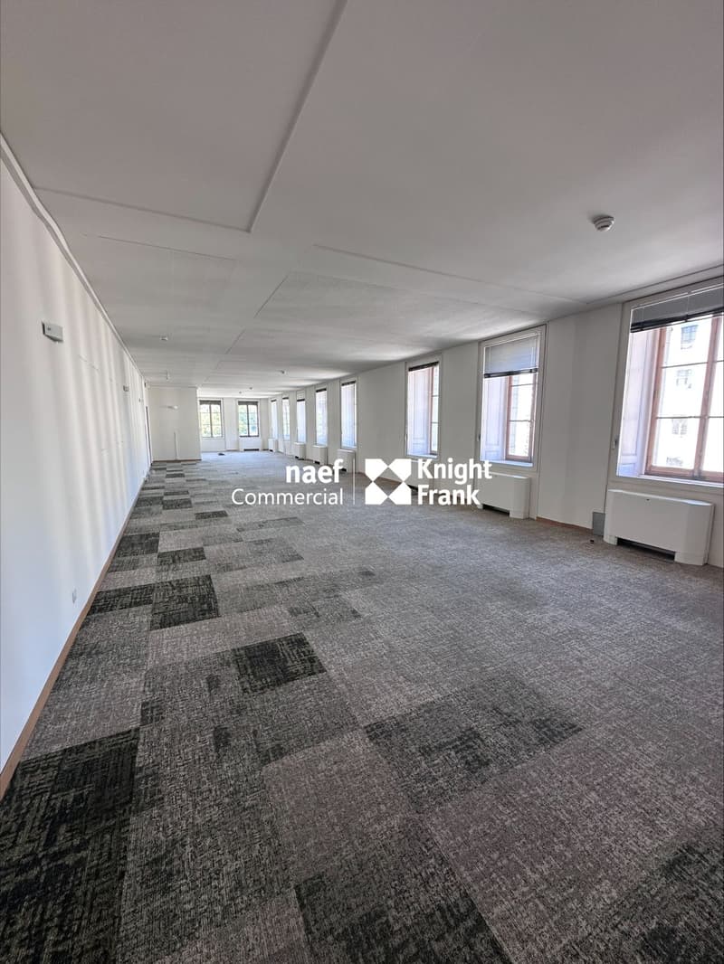Chantepoulet - Uffici di 316 m² al 3° piano (4)