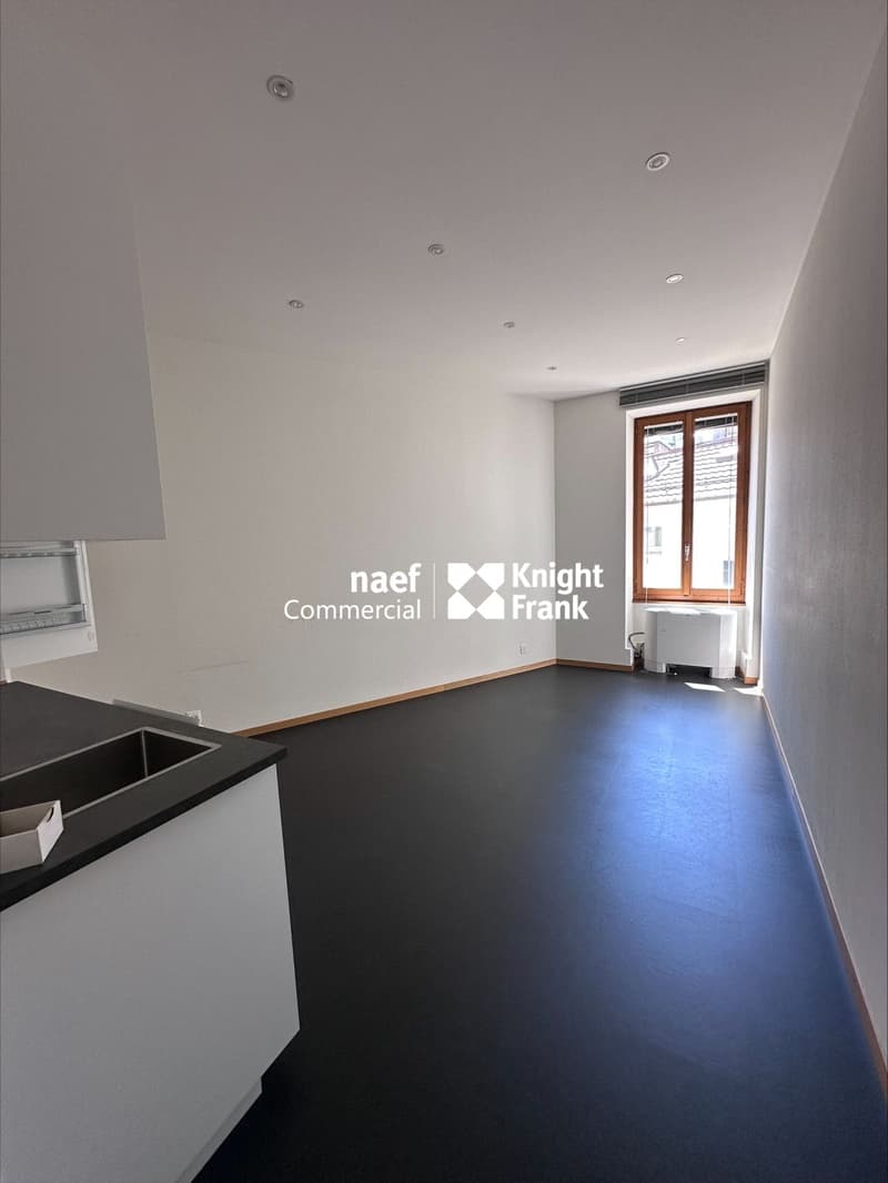 Chantepoulet - Uffici di 316 m² al 3° piano (7)
