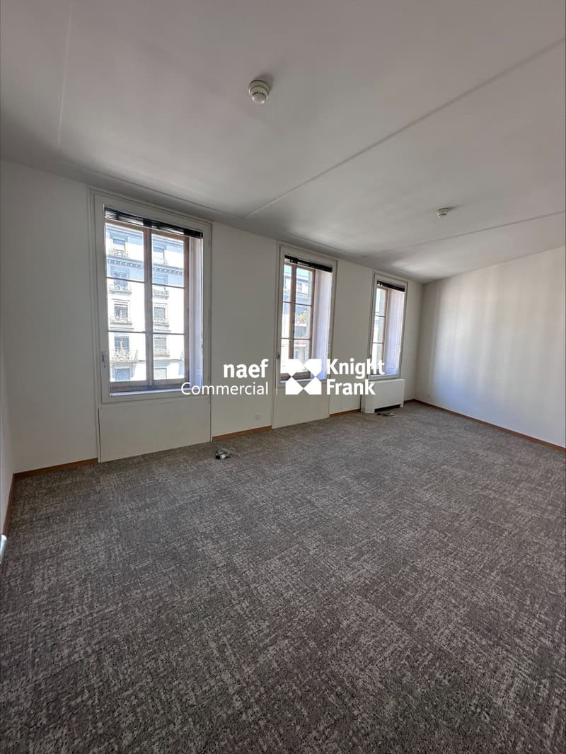 Chantepoulet - Uffici di 316 m² al 3° piano (8)