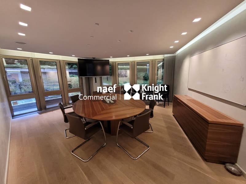 Malagnou - Ufficio di 485 m² al piano rialzato (3)