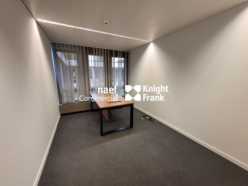 Malagnou - Ufficio di 485 m² al piano rialzato (6)