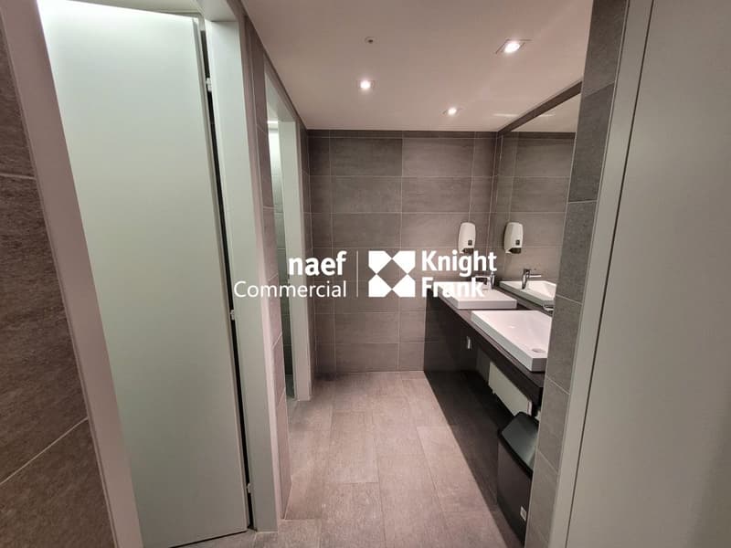 Malagnou - Ufficio di 485 m² al piano rialzato (11)