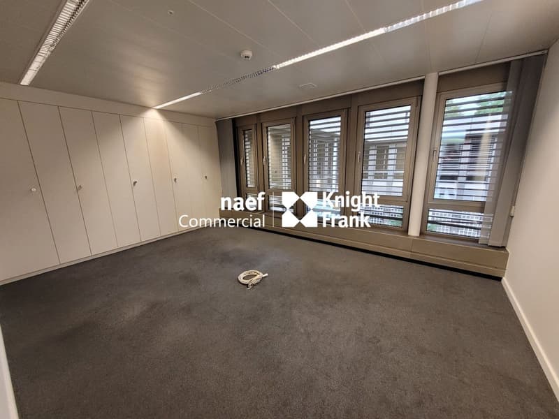 Malagnou - Ufficio di 485 m² al piano rialzato (5)