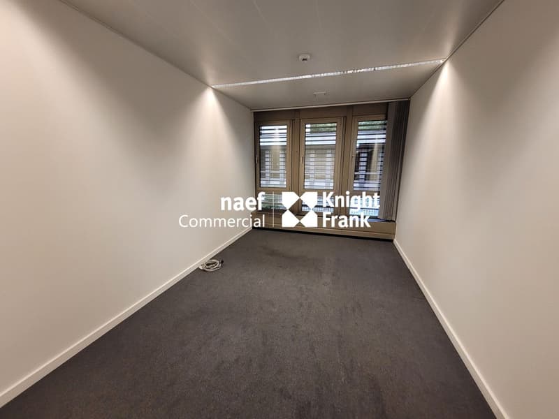 Malagnou - Ufficio di 485 m² al piano rialzato (4)