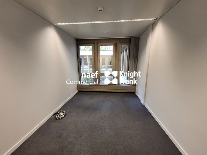 Malagnou - Ufficio di 485 m² al piano rialzato (8)