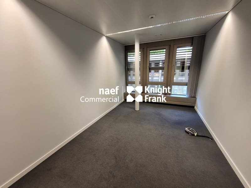 Malagnou - Ufficio di 485 m² al piano rialzato (7)