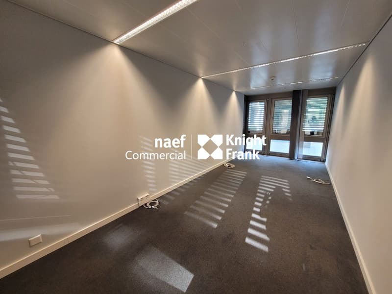 Malagnou - Ufficio di 485 m² al piano rialzato (9)