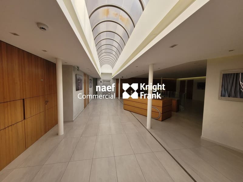 Malagnou - Ufficio di 485 m² al piano rialzato (2)
