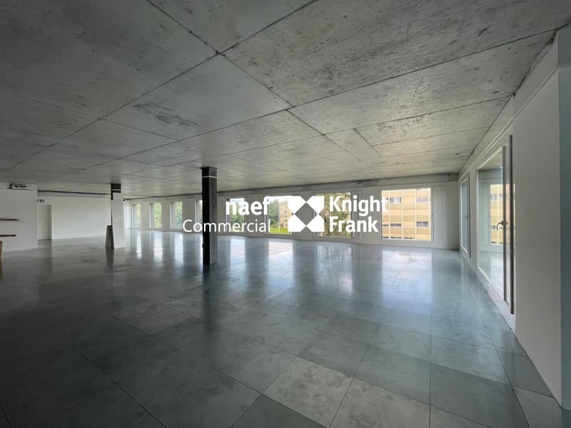 WEST PARK - modern and equipped area of 424 m² (3)