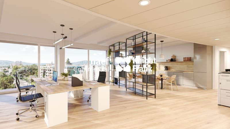 Lancy - Dernier bureau disponible de 165 m² env. avec vue dégagée (5)