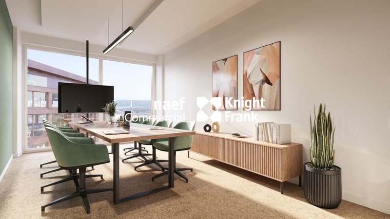 Lancy - Dernier bureau disponible de 165 m² env. avec vue dégagée (7)