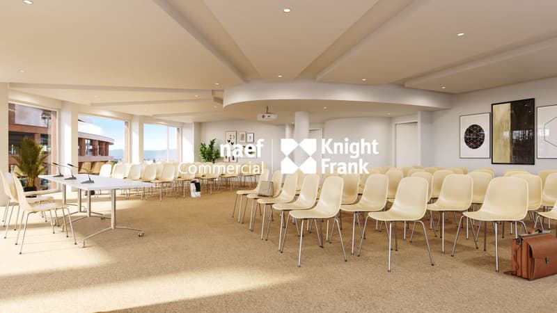 Lancy - Dernier bureau disponible de 165 m² env. avec vue dégagée (12)