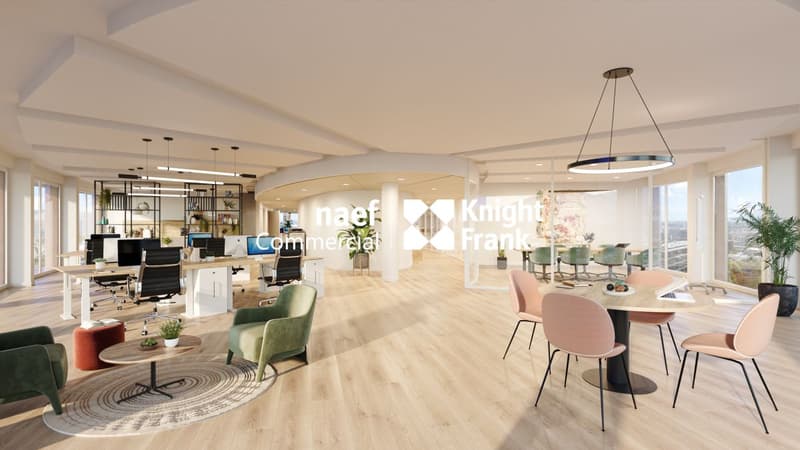 Lancy - Dernier bureau disponible de 165 m² env. avec vue dégagée (6)
