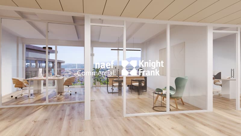 Lancy - Dernier bureau disponible de 165 m² env. avec vue dégagée (8)