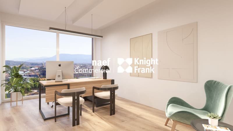 Lancy - Dernier bureau disponible de 165 m² env. avec vue dégagée (9)